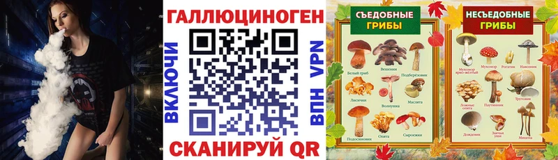 Псилоцибиновые грибы MAGIC MUSHROOMS  где продают   Салехард 